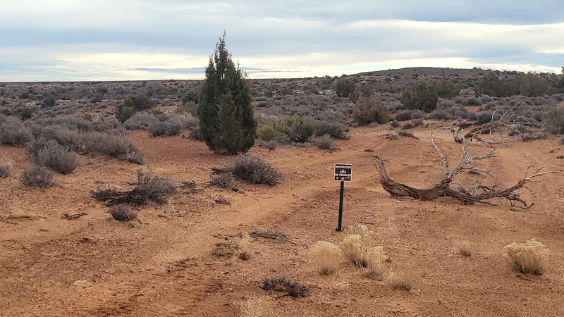 Bartlett Overlook Trail Review Photo