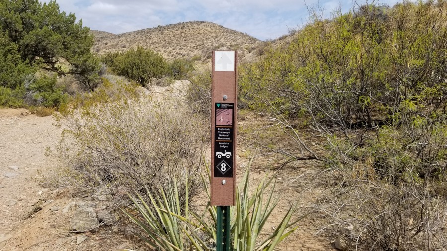 Bell Pepper Trail Review Photo