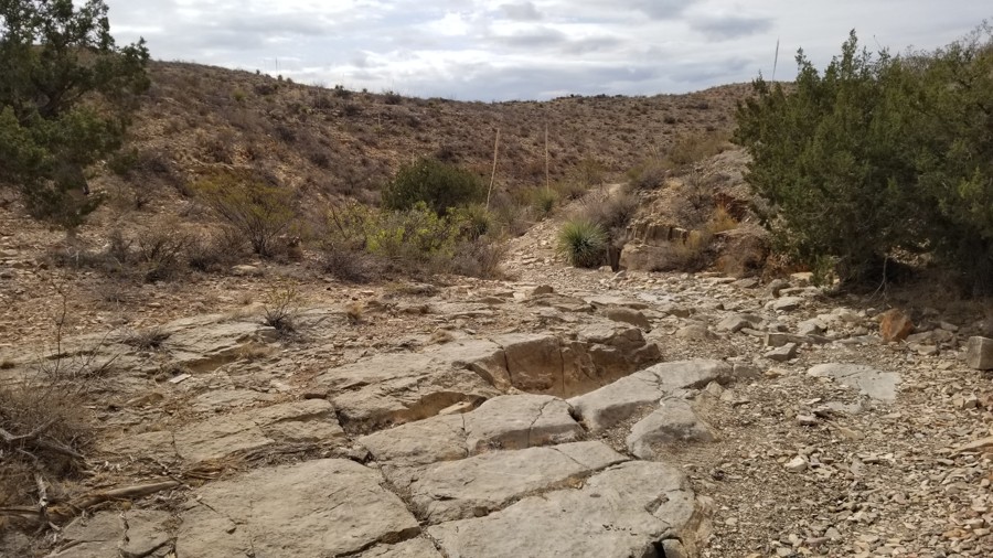 Bell Pepper Trail Review Photo