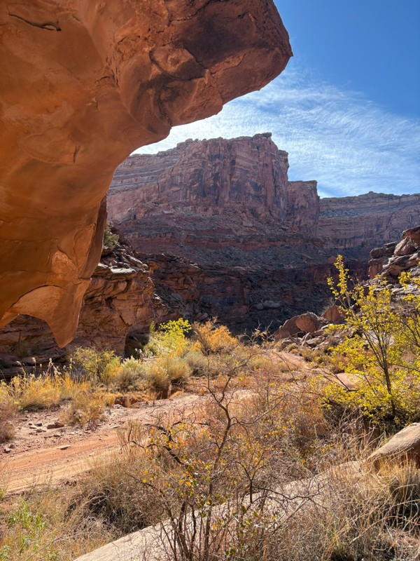 Black Dragon Wash Trail Review Photo