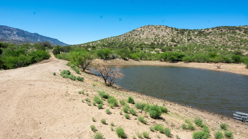 Arizona: Youtcy Pasture Trail Hero Photo