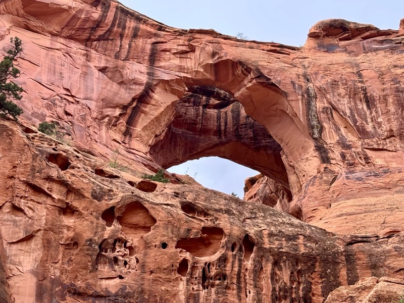 Bull Canyon Trail Review Photo