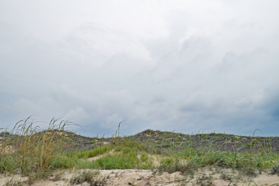 Boca Chica Beach Trail Review Photo