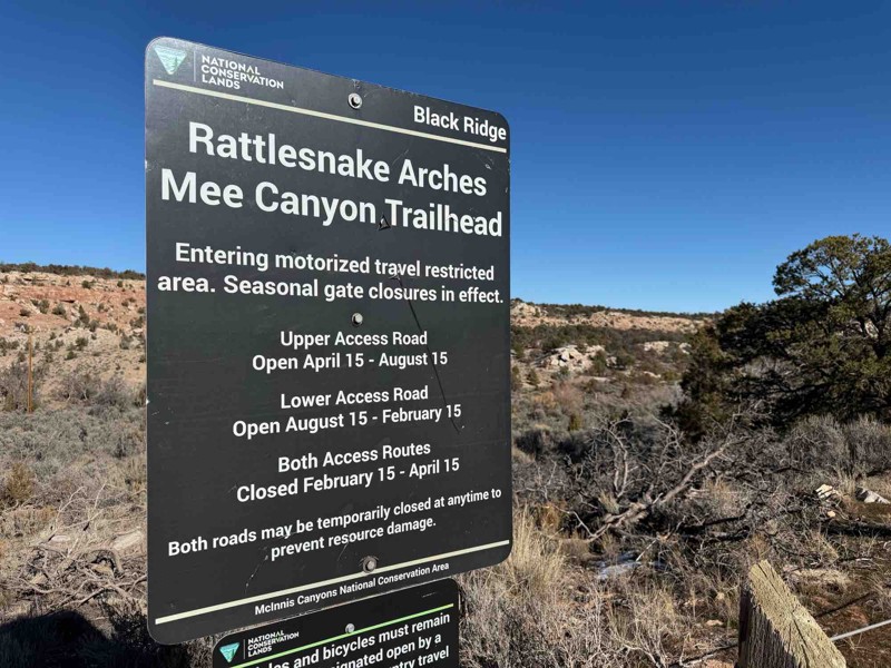 Radio Tower Road Trail Review Photo