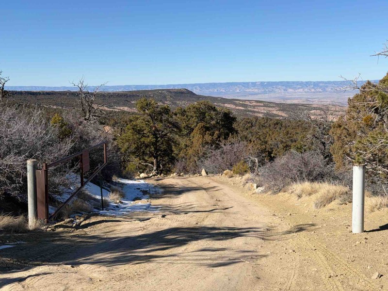 Radio Tower Road Trail Review Photo
