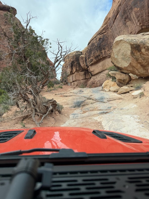 Elephant Hill Trail Review Photo