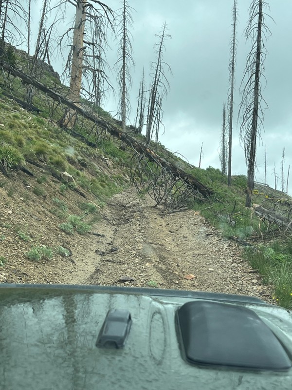 Basin Butte Road Trail Review Photo