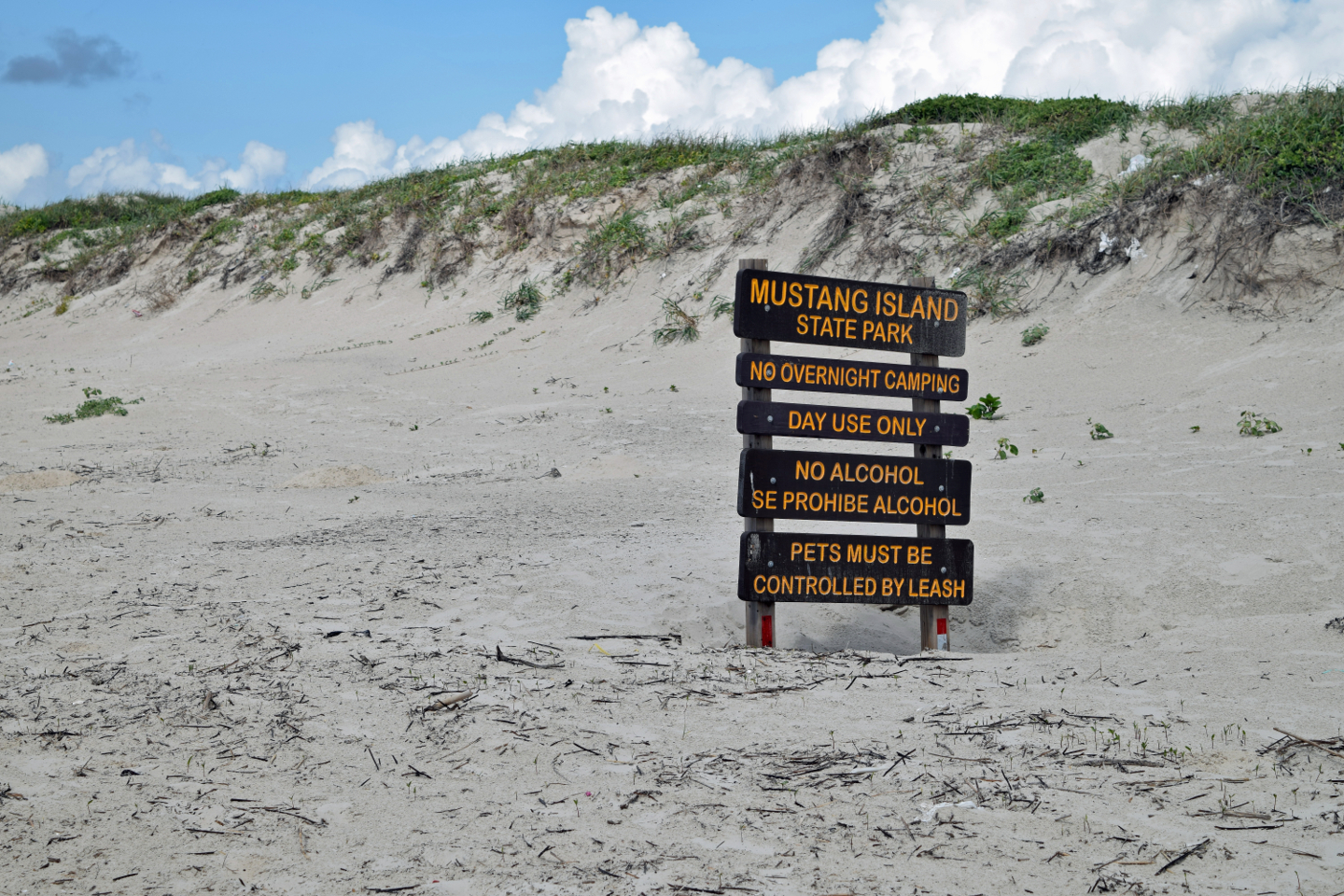 Mustang Island Beaches Texas Offroad Trail