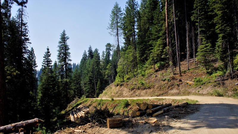 Idaho: West Fork Scriver Creek Hero Photo