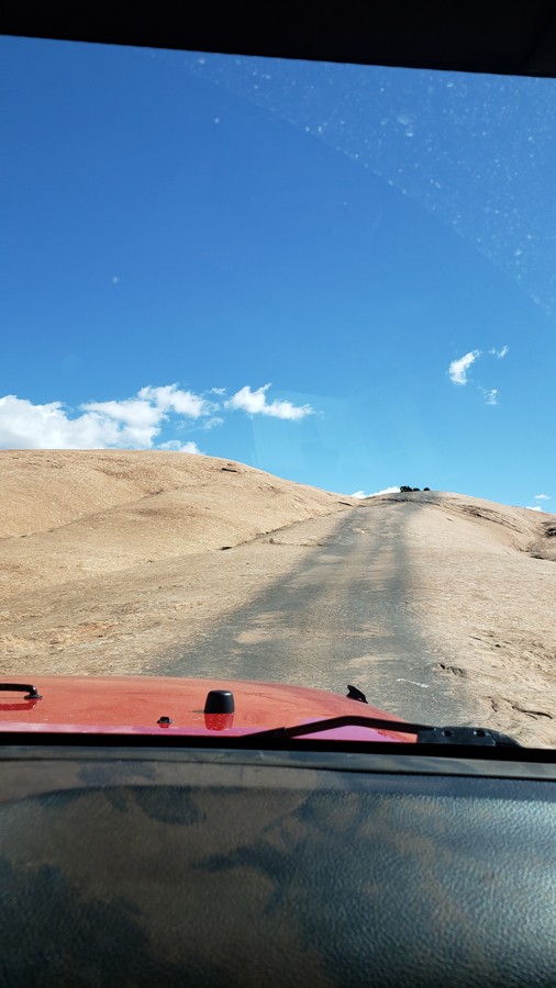 Trail Review: Fins and Things - Amy Westbrook