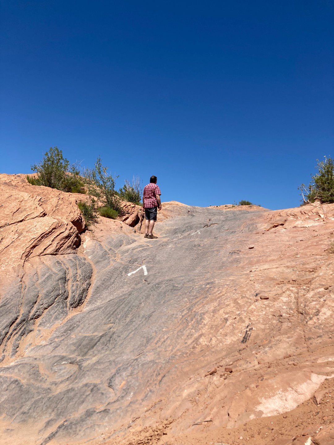 Fins and Things Utah Offroad Trail