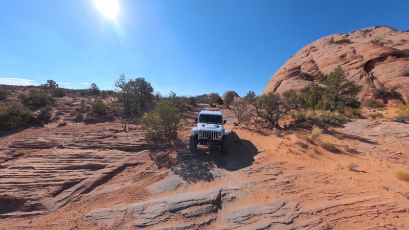 Fins and Things Trail Review Photo