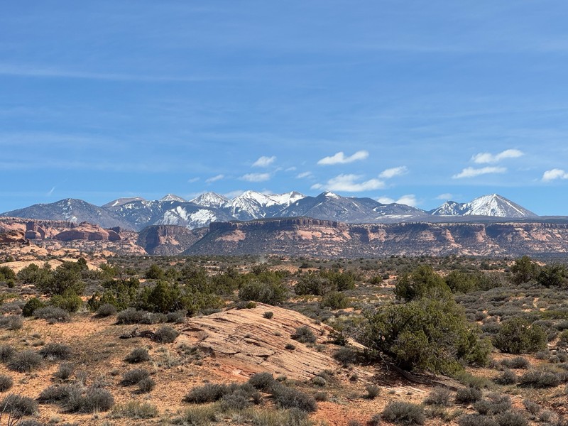 Fins and Things Trail Review Photo