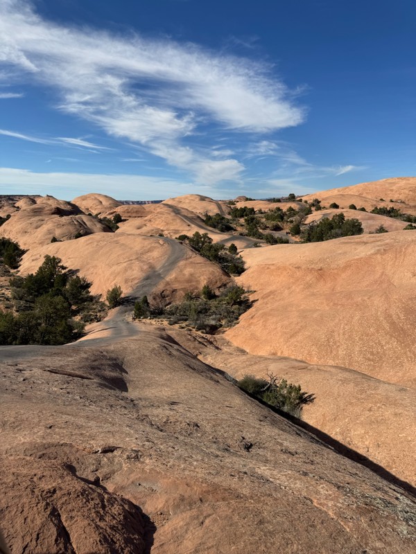 Fins and Things Trail Review Photo