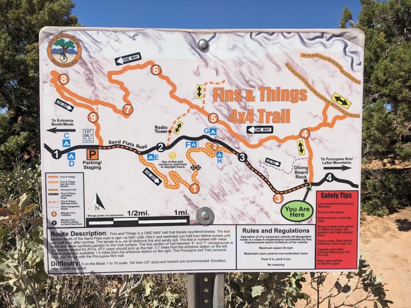 Fins and Things Trail Review Photo