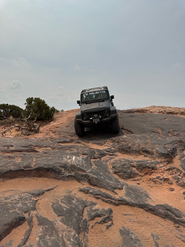 Fins and Things Trail Review Photo