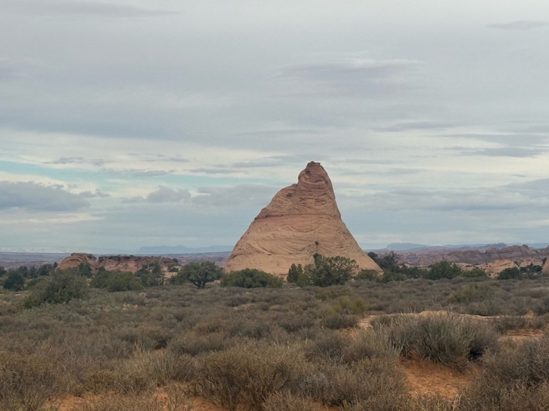 Fins and Things Trail Review Photo