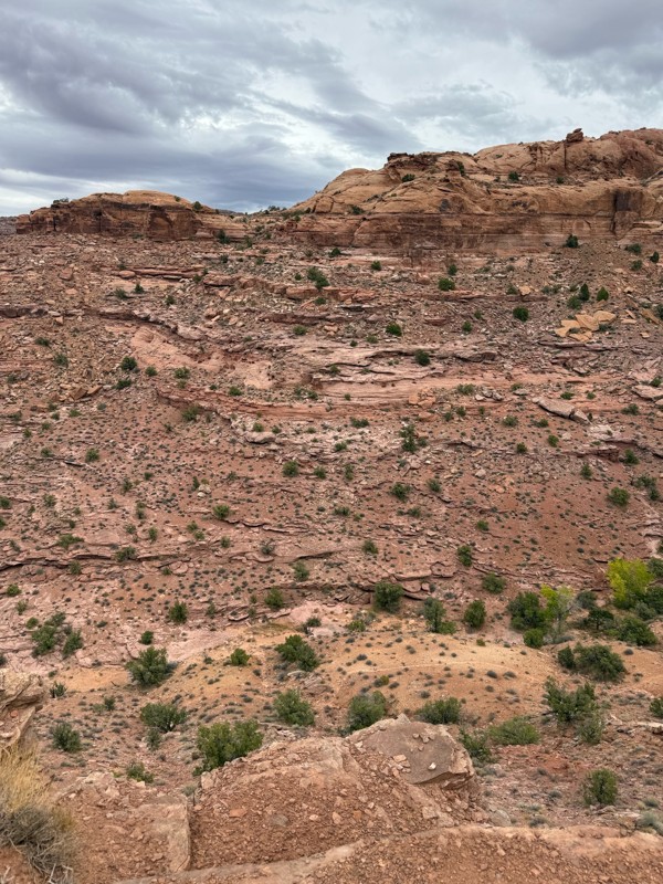 Fins and Things Trail Review Photo