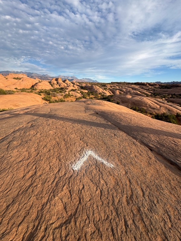 Fins and Things Trail Review Photo