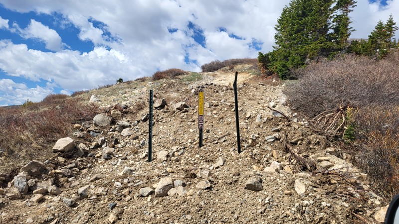 Mt. Lincoln Trail Review Photo