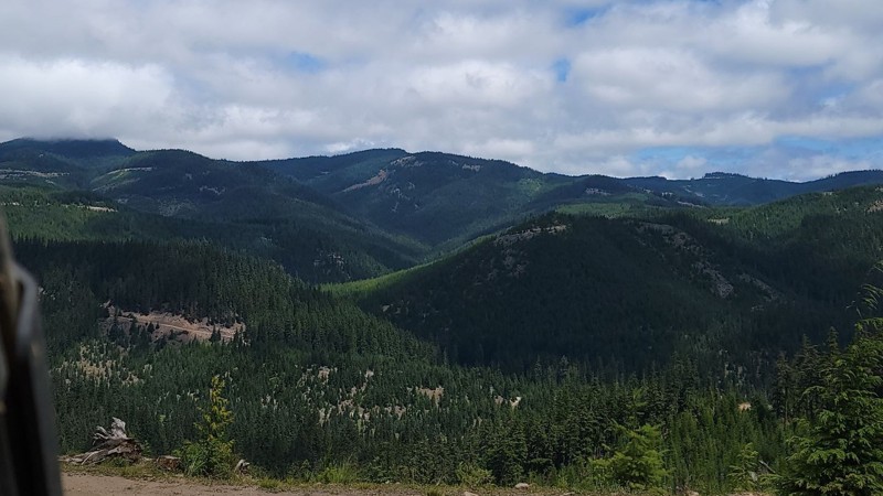 Washington: Mill Gulch Trail Hero Photo