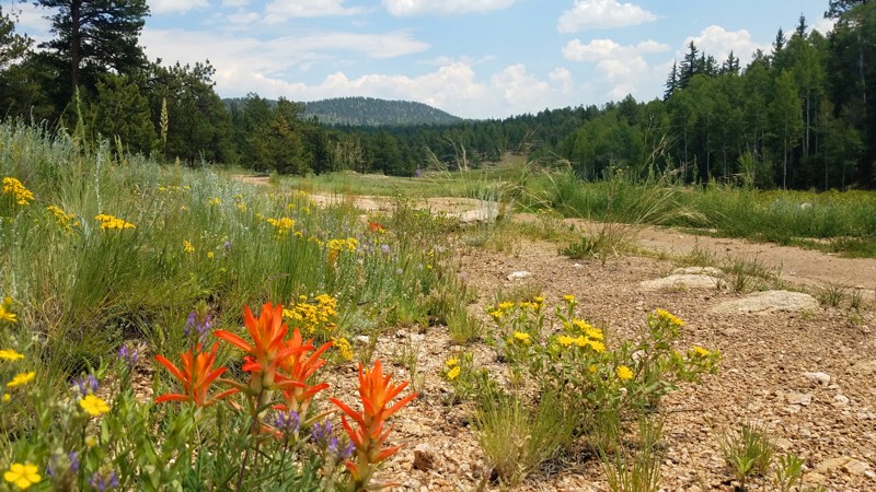 Colorado: Burma Shave Hero Photo