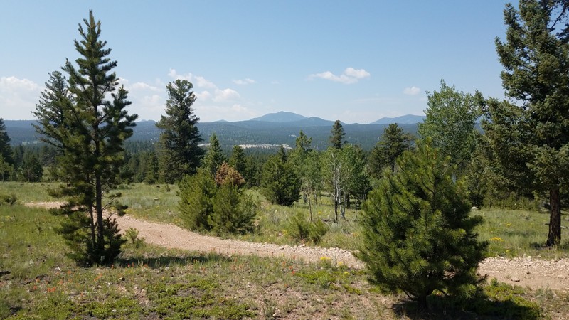 Colorado: Sledge Hammer Hero Photo