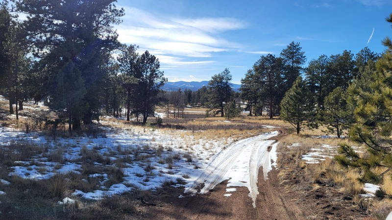 Mistletoe Trail Review Photo