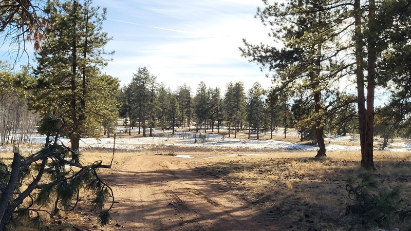 Nice Camp Trail Review Photo