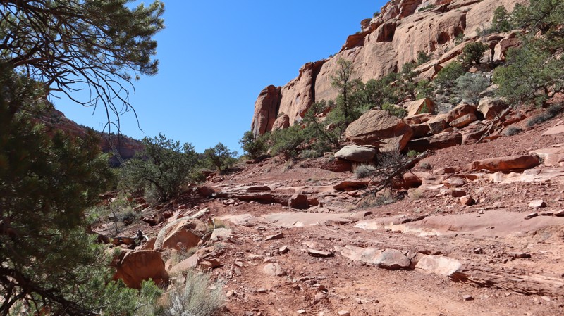 Four Arches Canyon Trail Review Photo