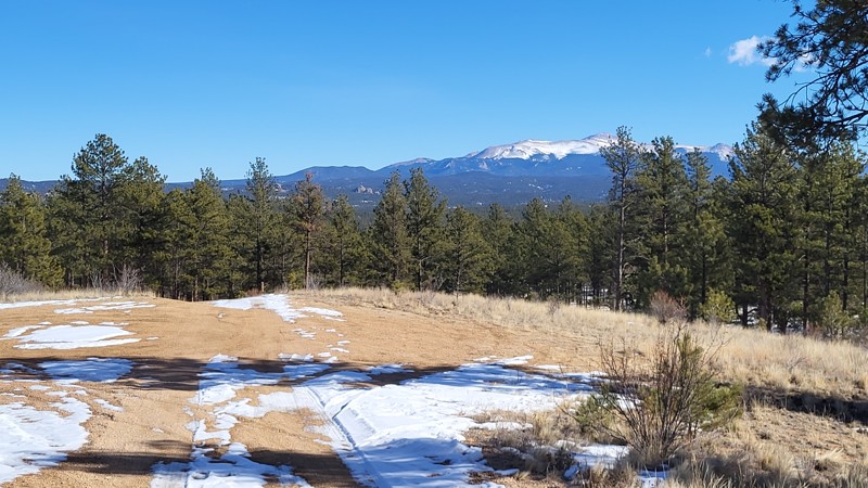 Boletes Trail Review Photo