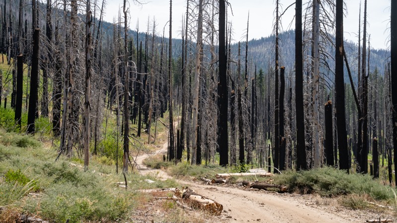 Strawberry-Twin Lakes Trail Review Photo