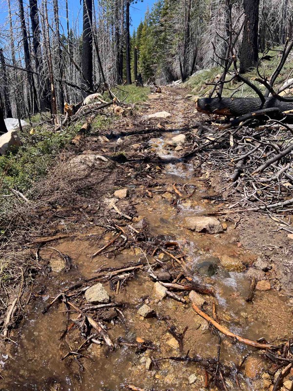 Strawberry Pass / Strawberry 4WD Trail Trail Review Photo