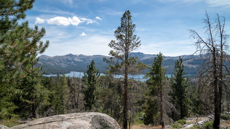 Schneider Cow Camp Trail Review Photo