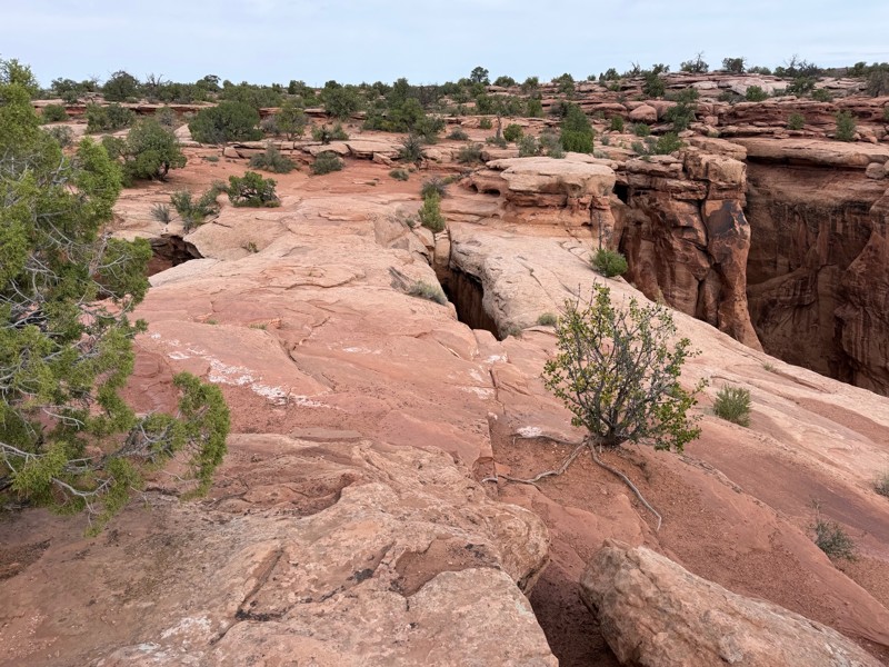 Gemini Bridges Trail Review Photo
