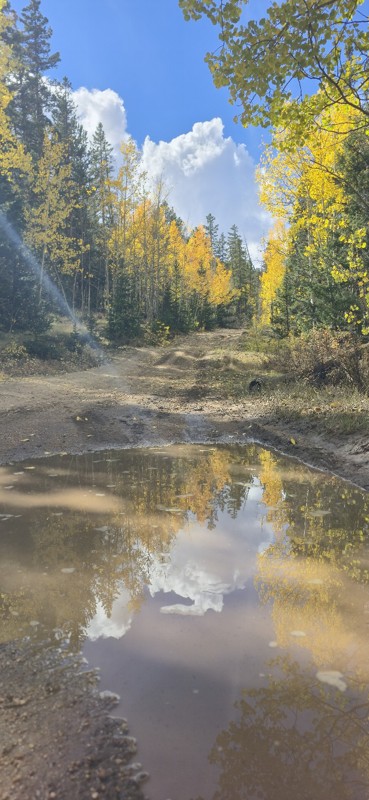 Schoolmarm Mountain Road Trail Review Photo
