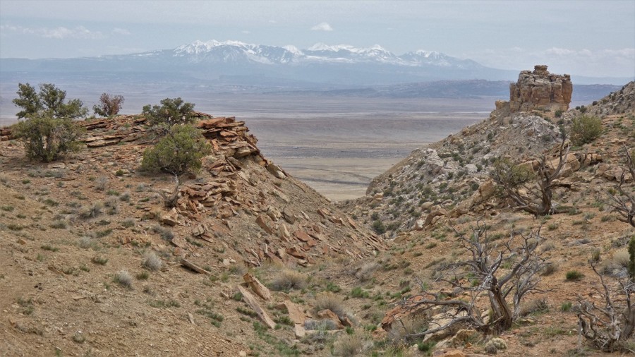 Thompson Bench Road Trail Review Photo