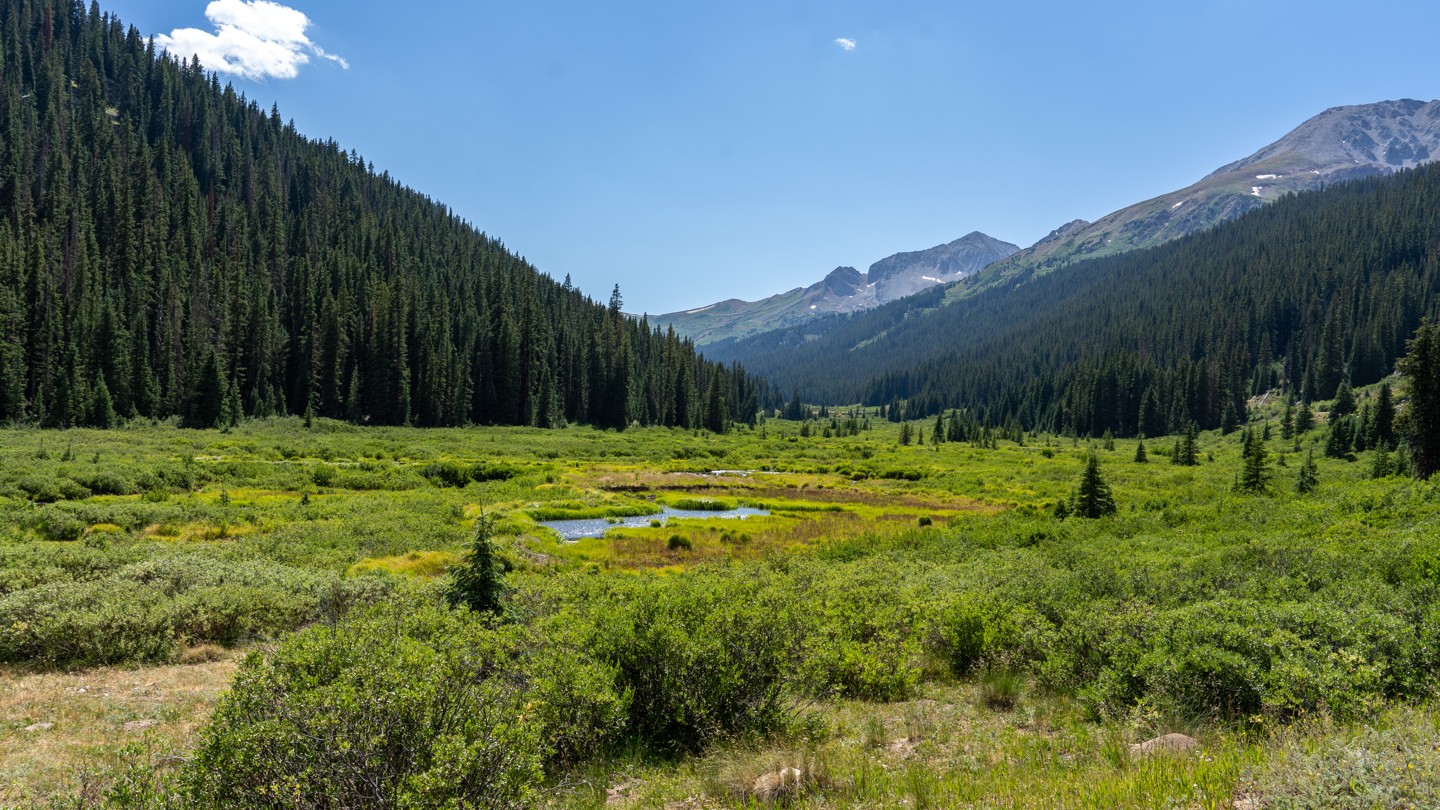 Taylor River - Best Trails