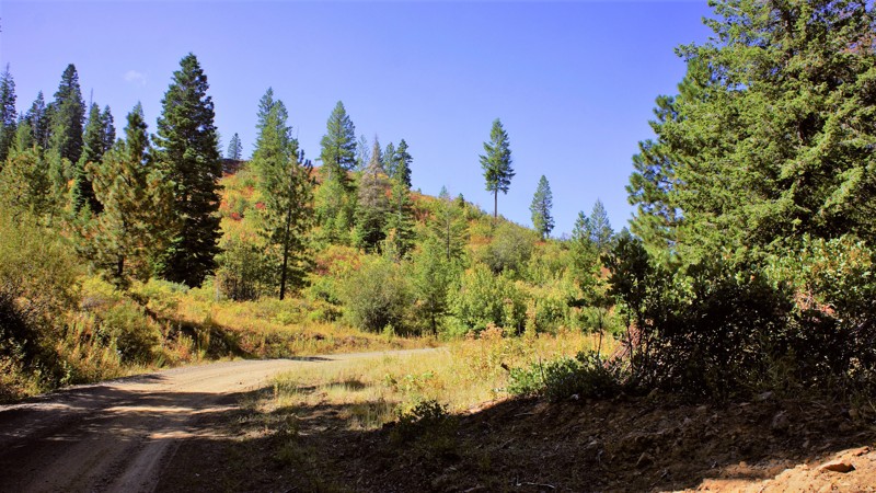 Idaho: Dry Buck Hero Photo