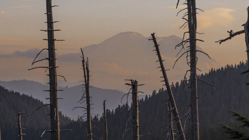 Washington: Green Pass/Naches Tie Hero Photo