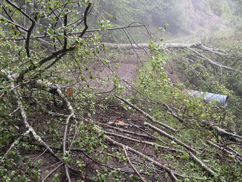 Tacoma Pass Trail Review Photo