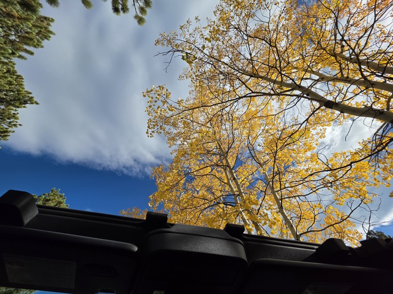 Chicken Park Trail Review Photo
