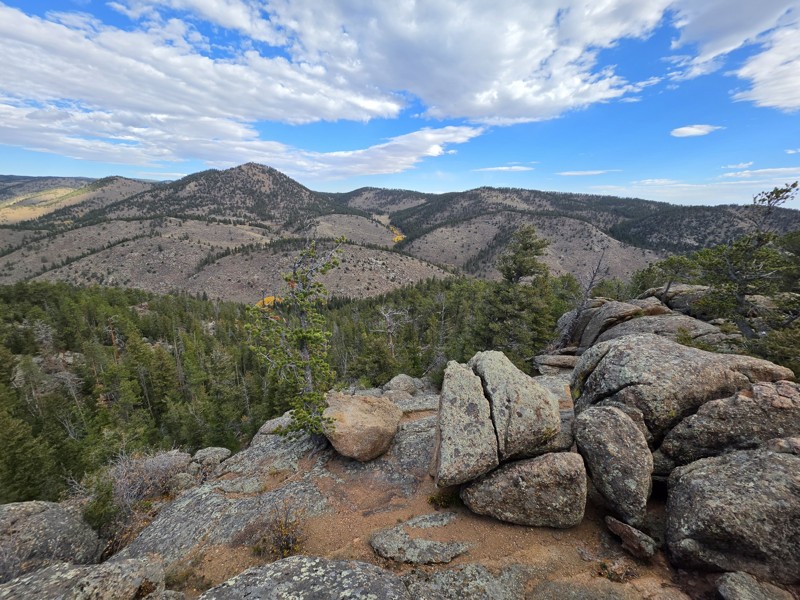 Chicken Park Trail Review Photo