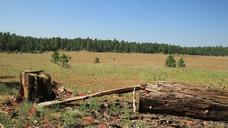 Arizona: FR 518 Hero Photo