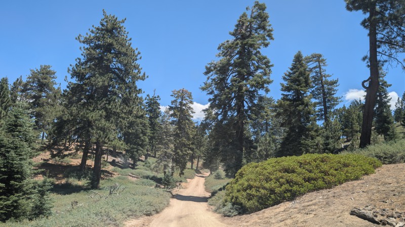 2N10 - Mill Creek Trail Review Photo