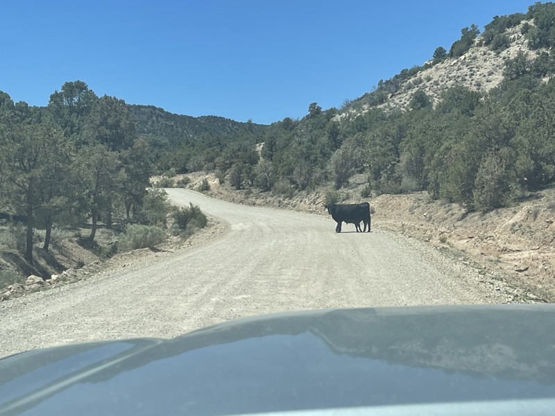 Whitmore Overlook Trail Review Photo