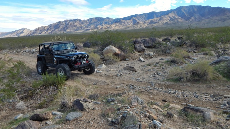 Arizona: Desert Springs Hero Photo