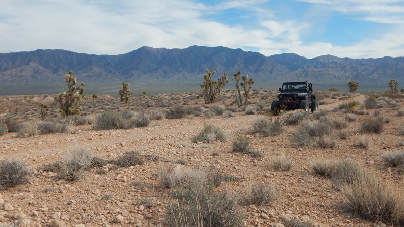 Arizona: Coon Creek Crossover Hero Photo