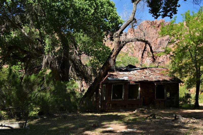 Arizona: Martinez Cabin Trail Hero Photo