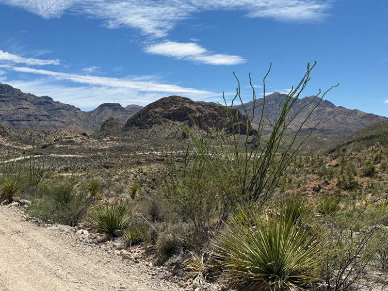 Pinto Canyon Road Trail Review Photo